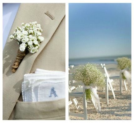 From boutonnieres to the beach baby's breath is a surprisingly versatile
